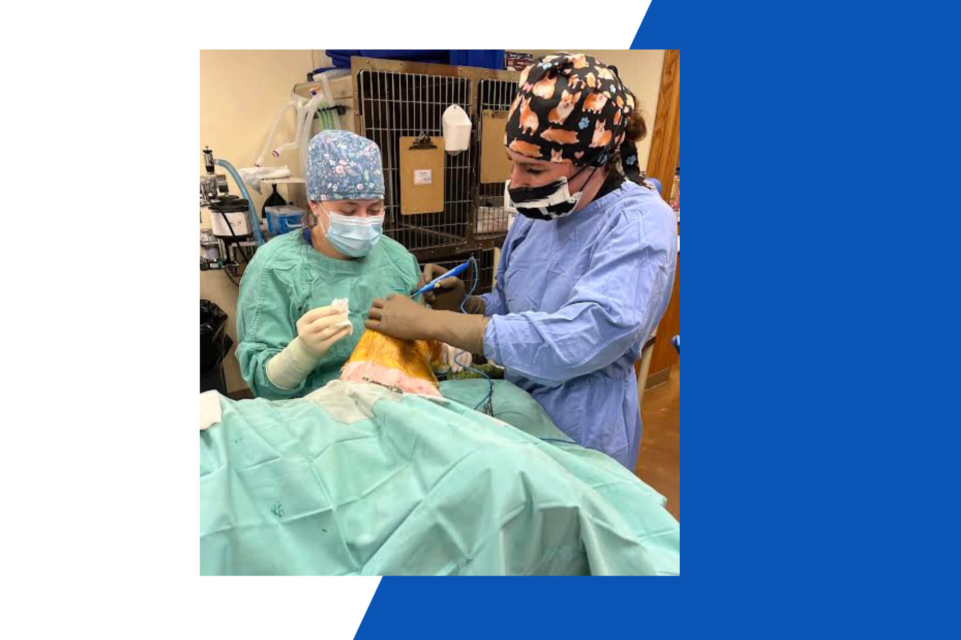 Dr. Frosch scrubbed into surgery to perform a TPLO