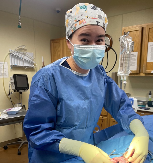 Externship