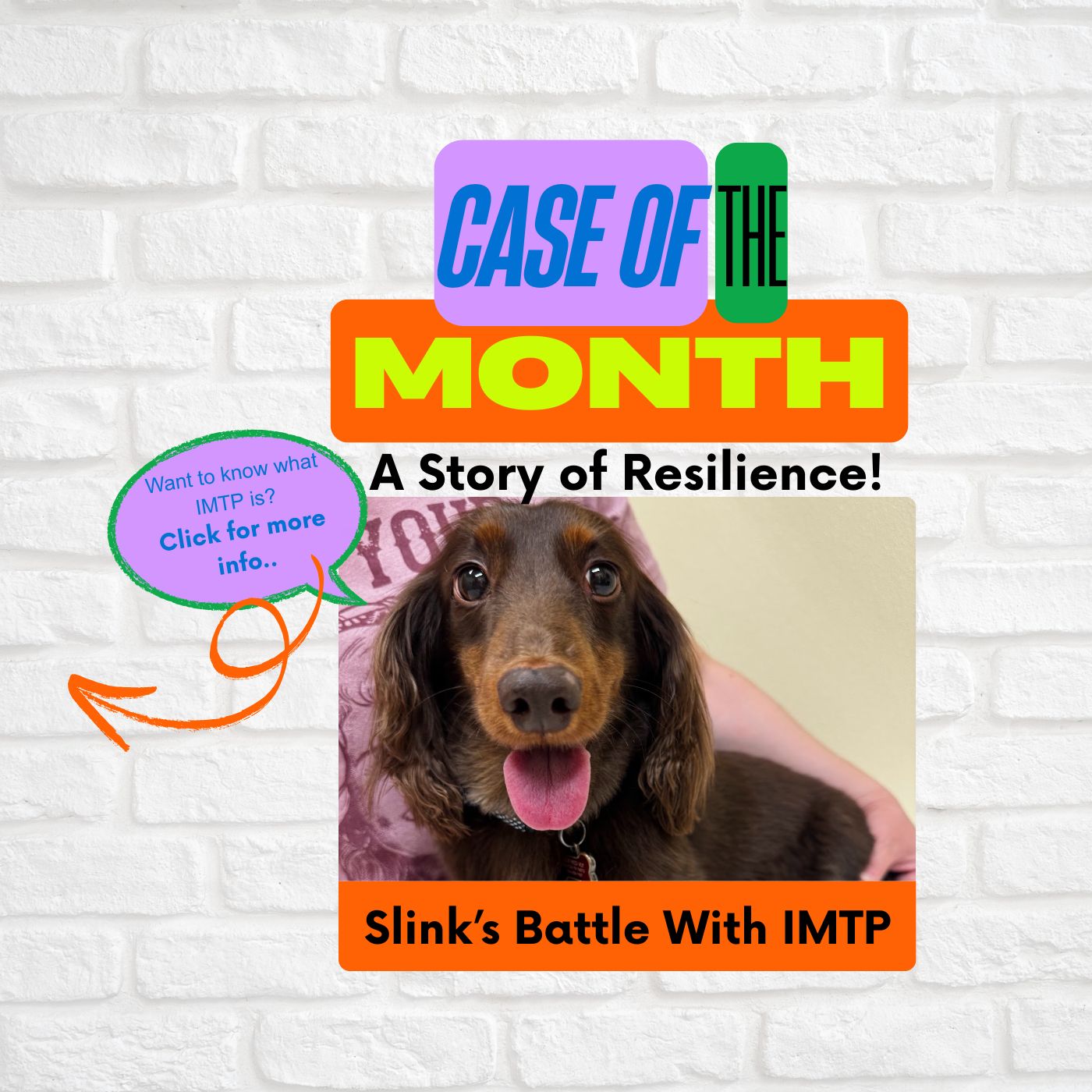 Slink's Case Of The Month