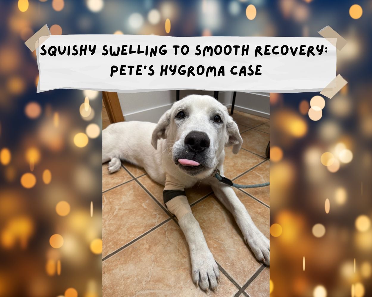 Pete’s-Hygroma-Case