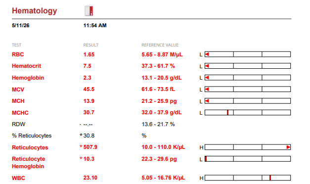 Eve Bloodwork