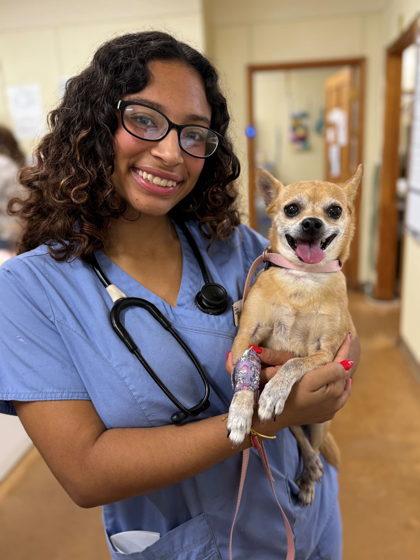 Our Veterinary Assistants are the heart of our practice 