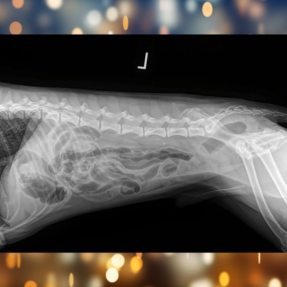 Tito X-rays
