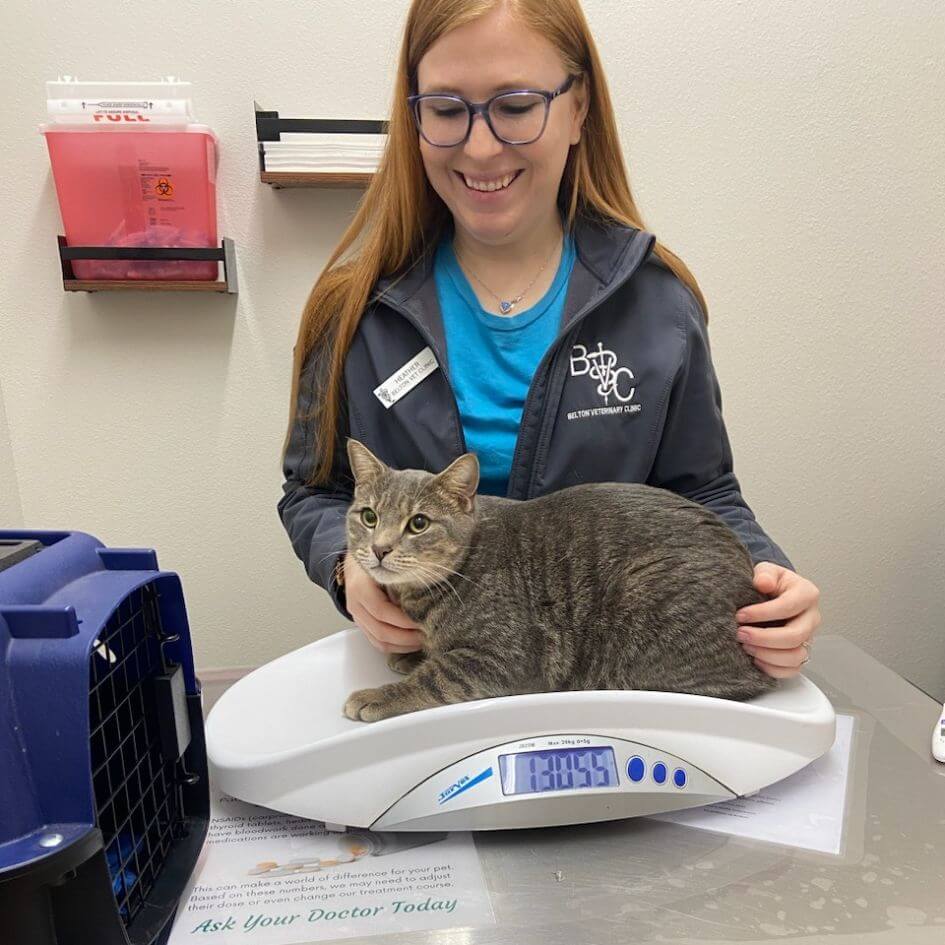 Checking your pet's weight is one of the many important diagnostics we do at their annual exam