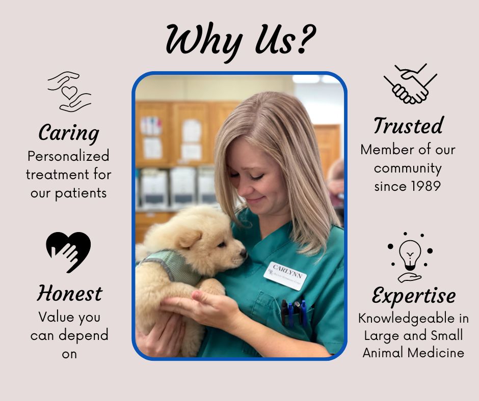 Belton Texas Veterinarians