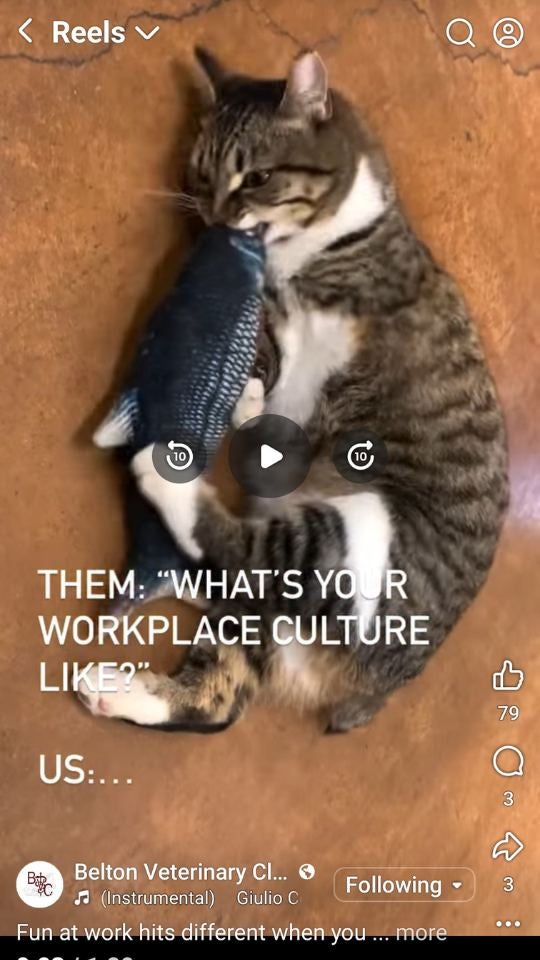 Workplace Culture Facebook Video