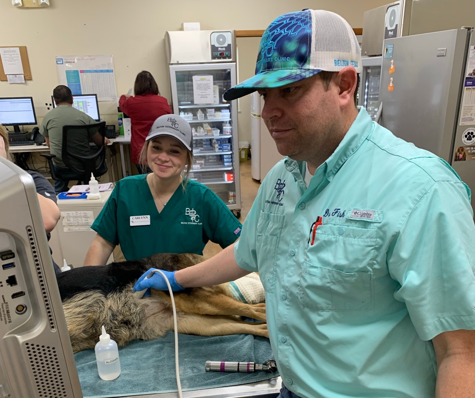 Veterinary Assistants are a large part of our successful patient care