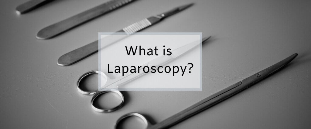 how long to recover from laparoscopic spay