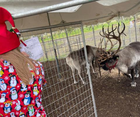 Dr. Erskine writing a Health Certificate for Santa's Reindeer at Sweet Eats Fruit Farm
