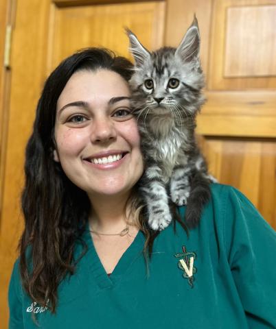 Our Technician Sarah with a beautiful maine coon kitten on her shoulder