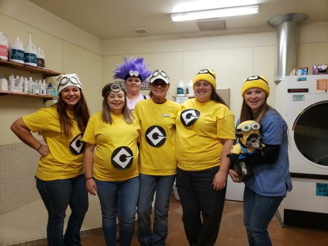 Our team dressing up as Minions 