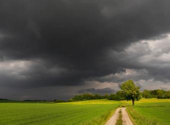 Tips to help your pet cope with storm anxiety
