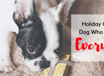 Holiday Gifts for the Dog Who Already Has Everything