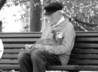 Health Benefits of Dogs for Seniors