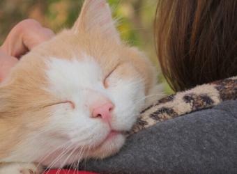 National Hug Your Pet Day...or NOT?!