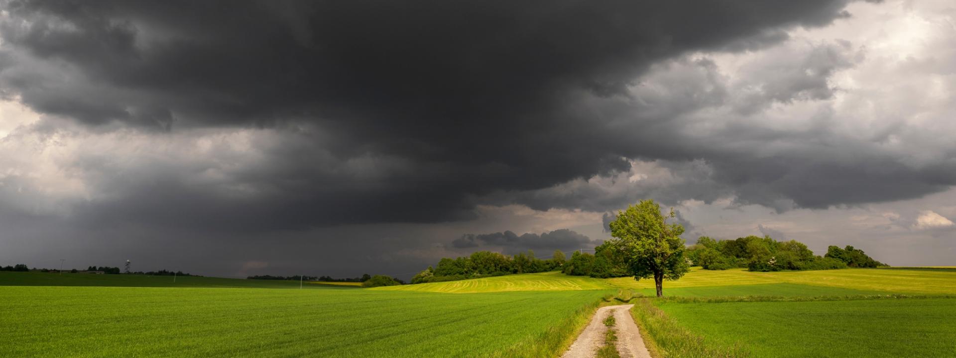 Tips to help pets cope with storm anxiety