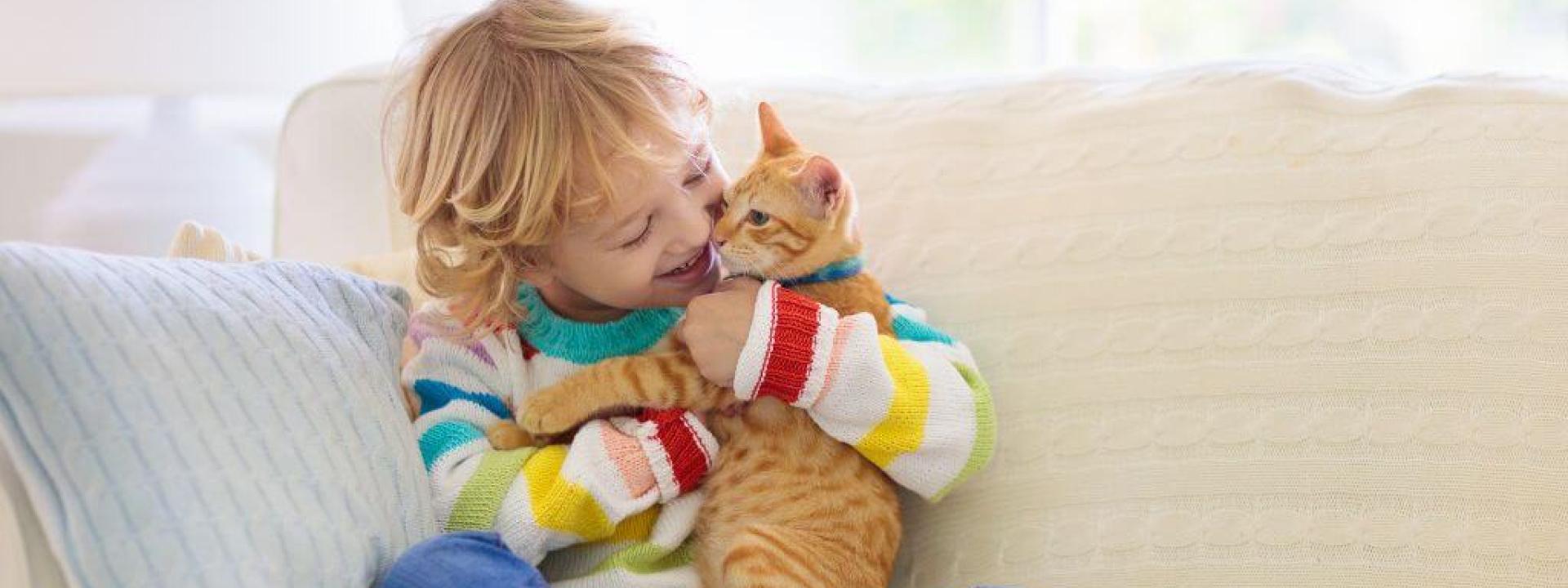 Young child holding a cat on the couch