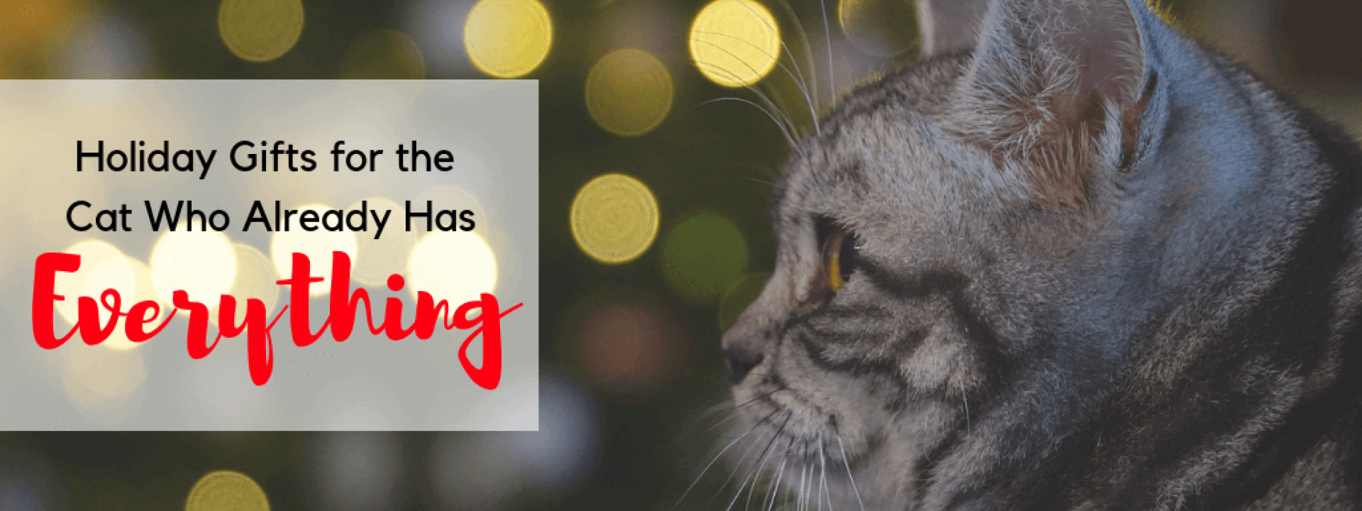 Cat-gifts-blog-header.png