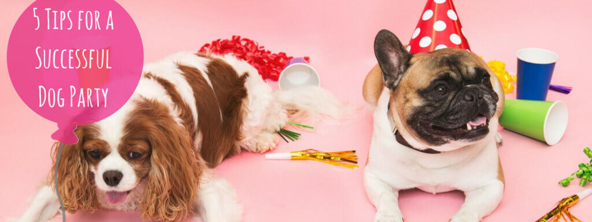 animal hospital near me