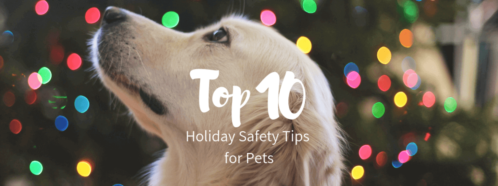 Holiday-Safety-Tips-blog-header.png