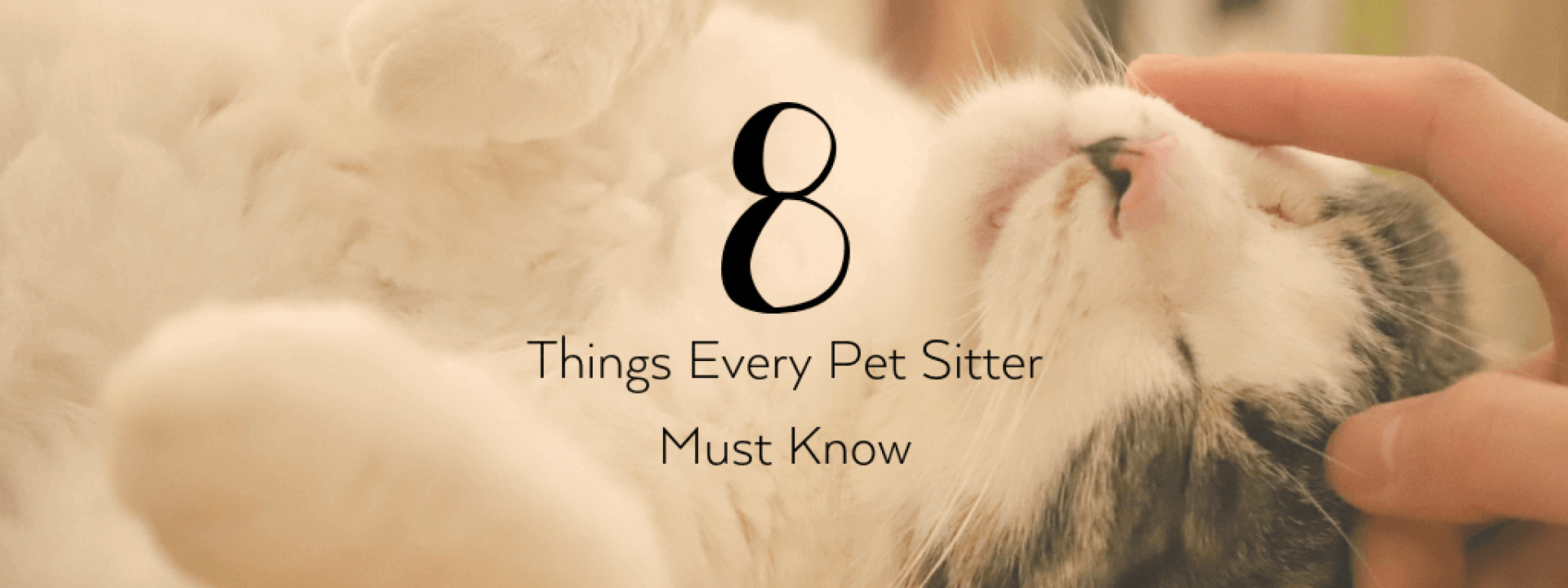 Pet-sitter-blog-header.png