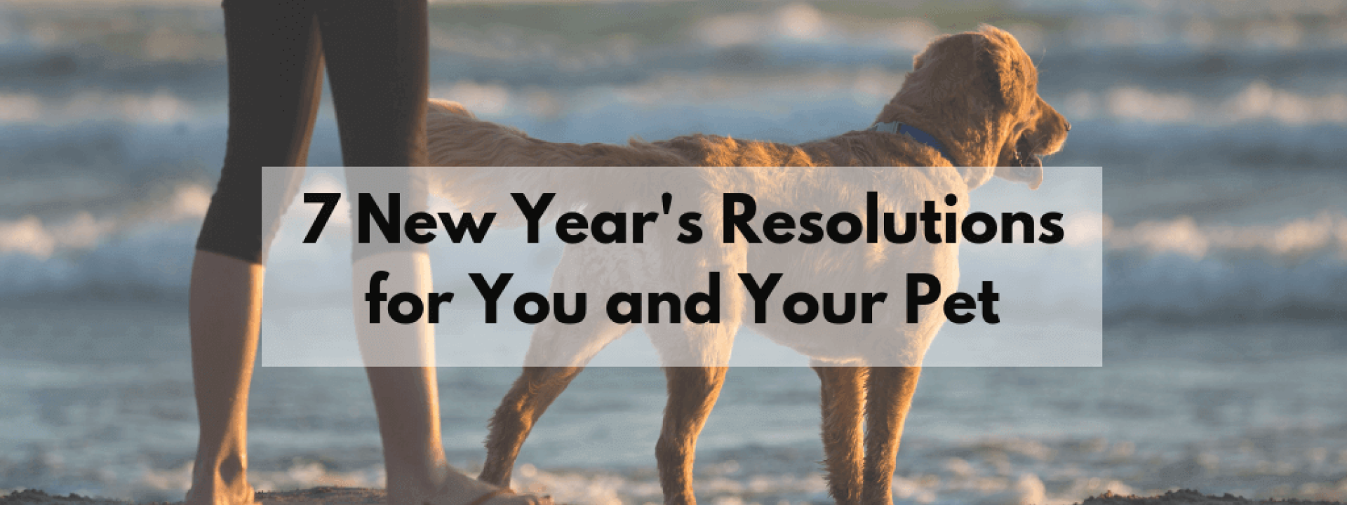 Resolutions-blog-header.png