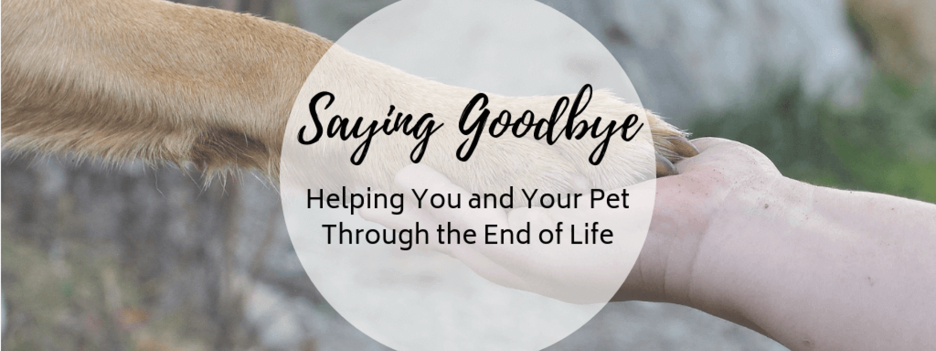 Saying-goodbye-blog-header.png