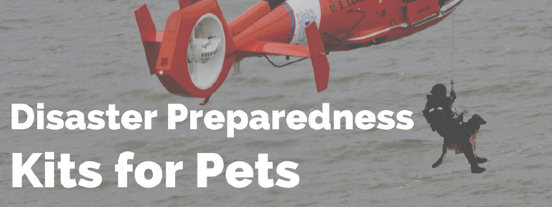 blog-title-disaster-preparedness-kits-for-pets.png