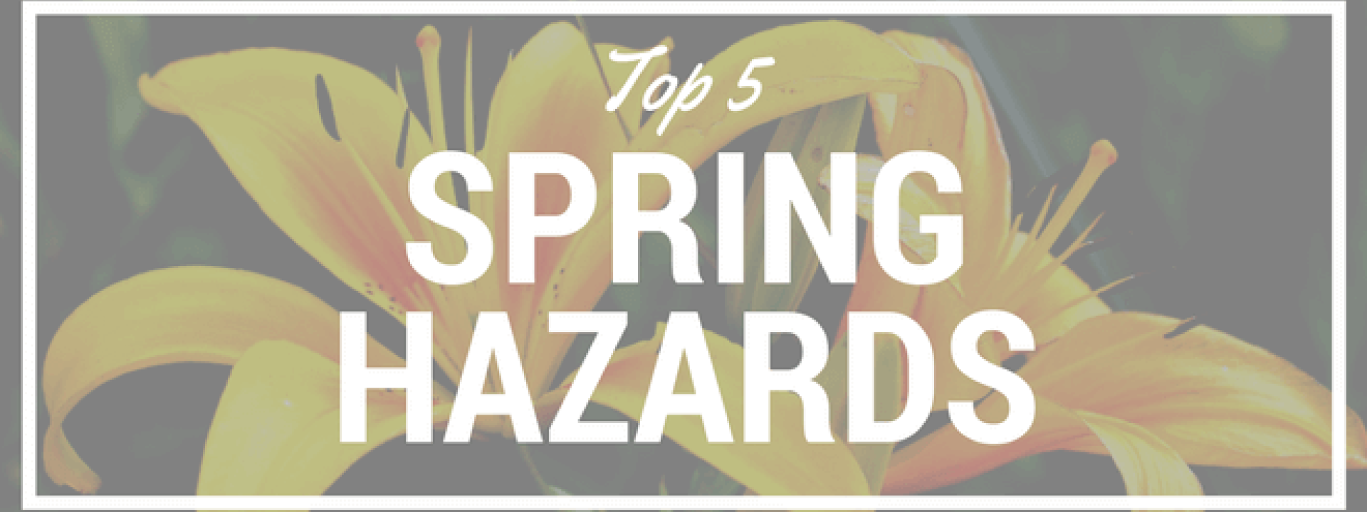 blog-title-top-5-spring-hazards.png