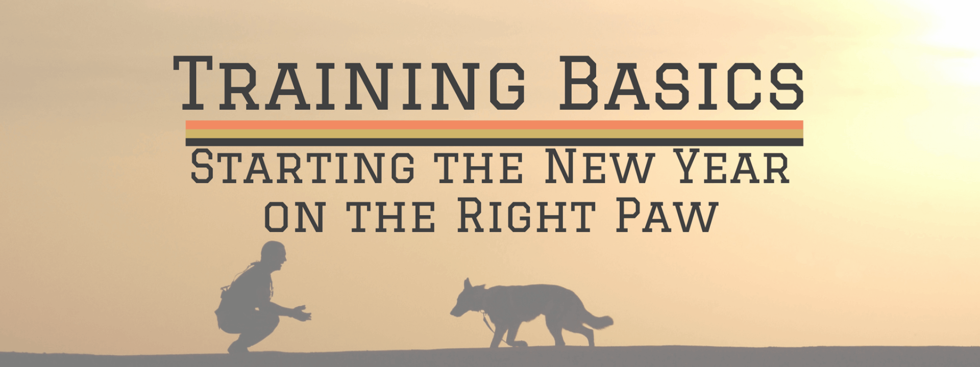 blog-title-training-basics.png