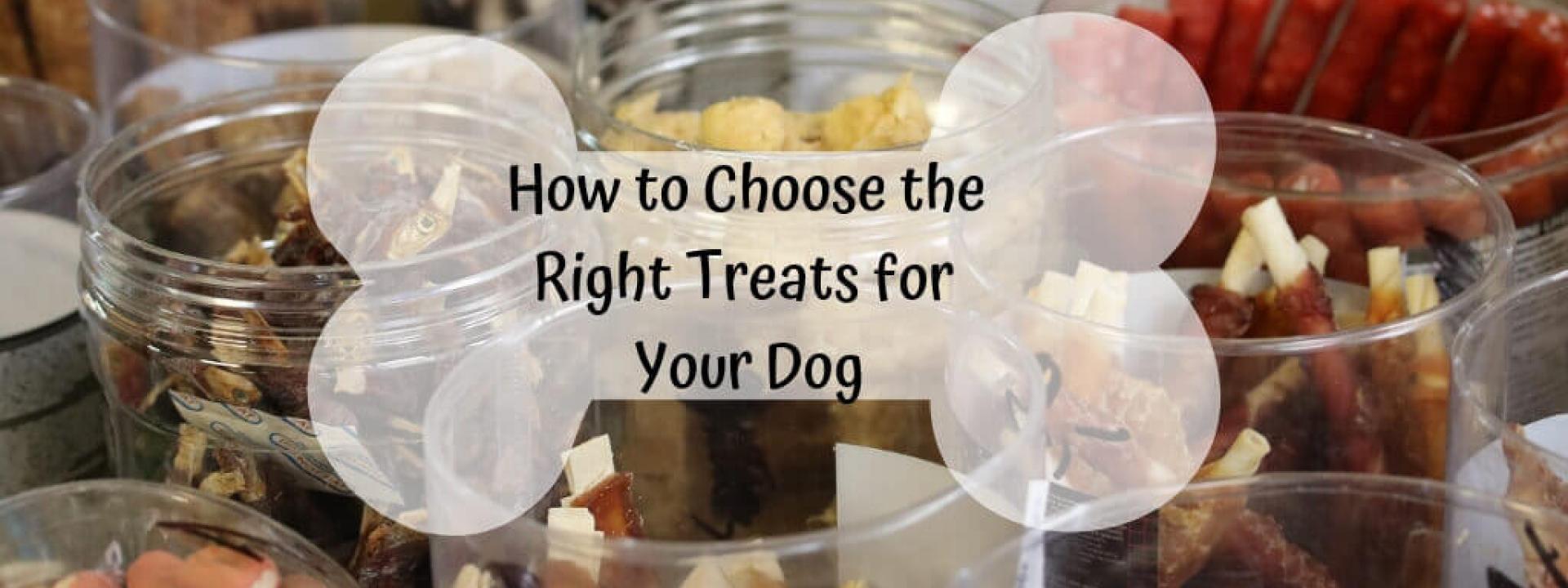 how-to-choose-dog-treats-blog-header.jpg