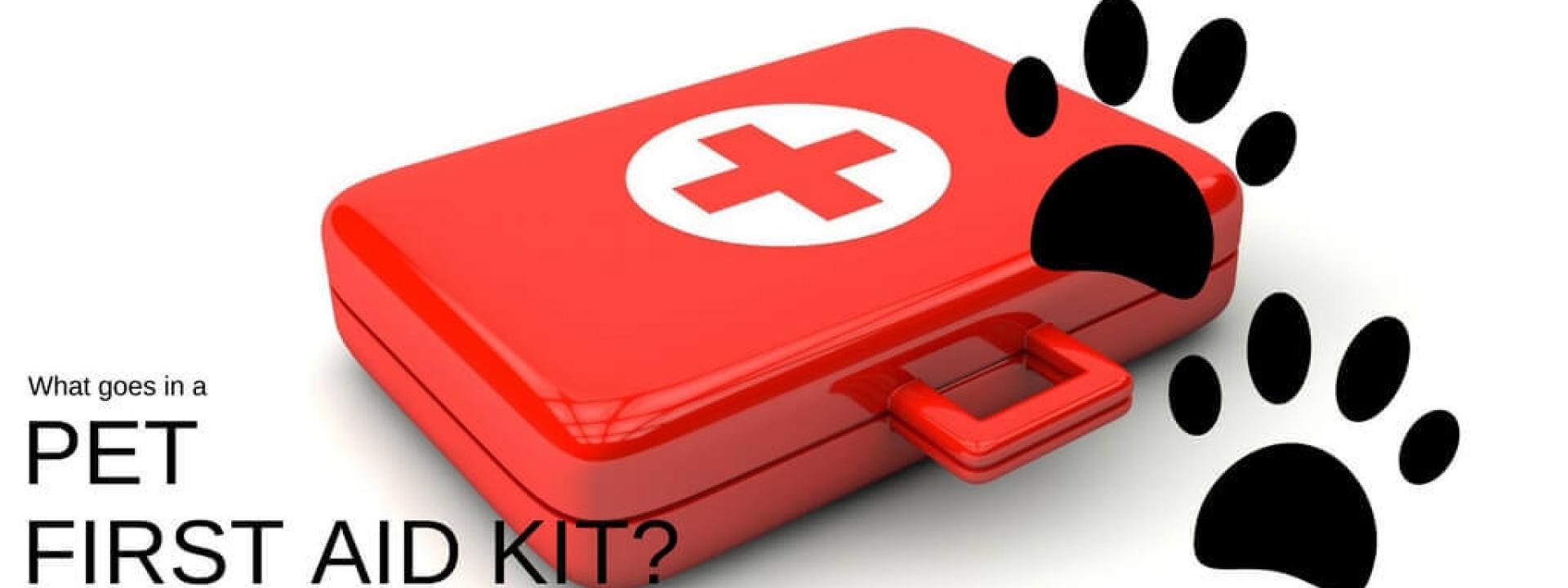 pet-first-aid-kit-Blog-Header.jpg
