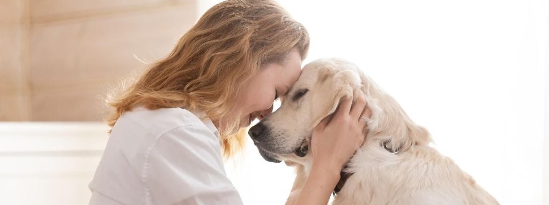 Owner embracing her large white dog