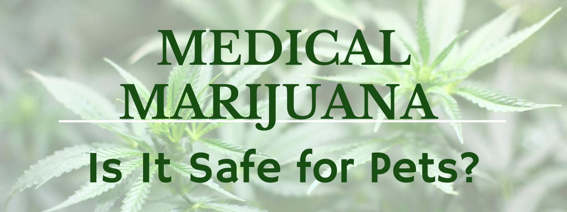title-medical-marijuana-pets.jpg