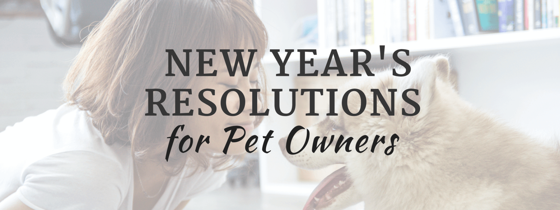 top-resolutions-pet-owners.png